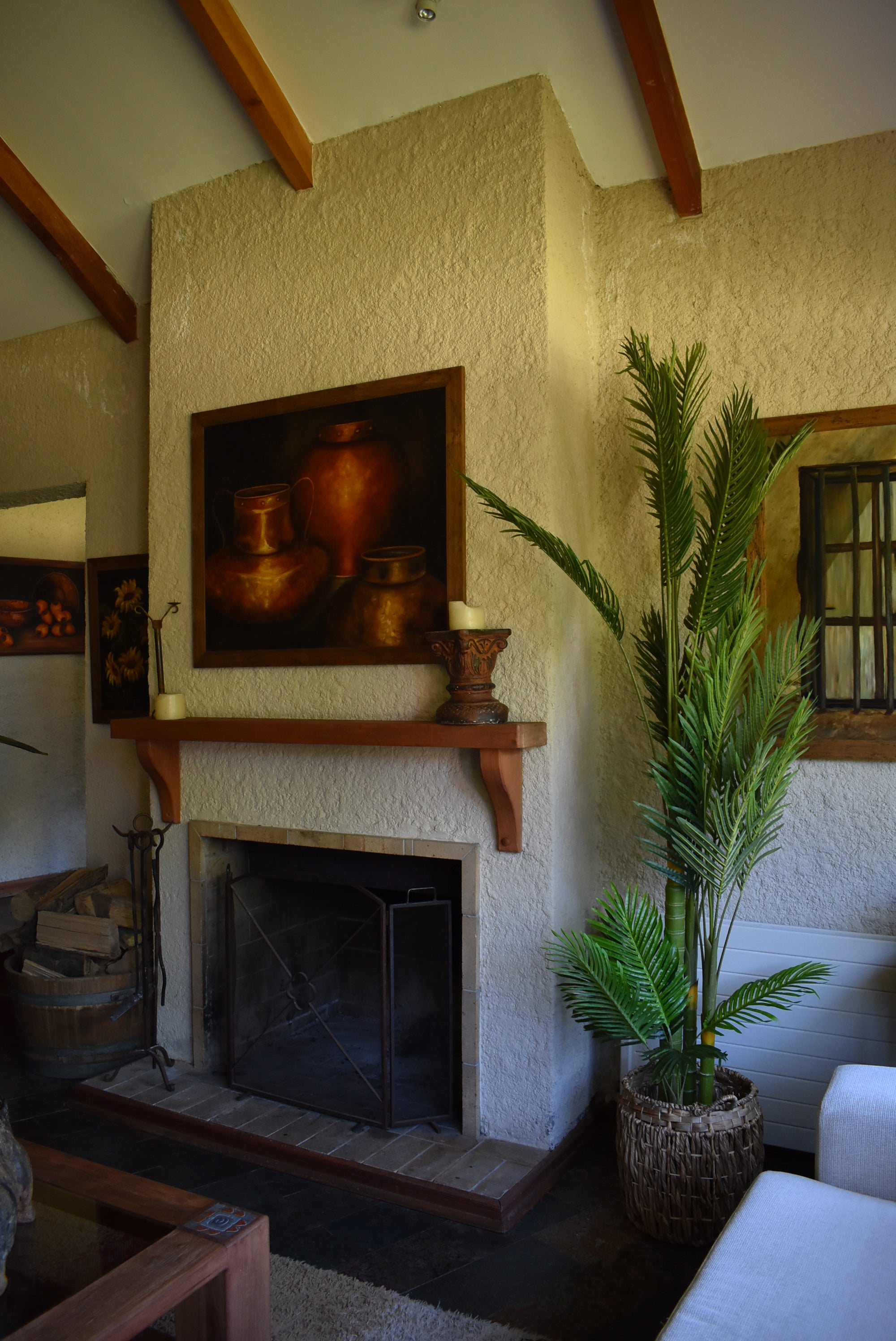 Ventajas de decorar la casa con plantas artificiales