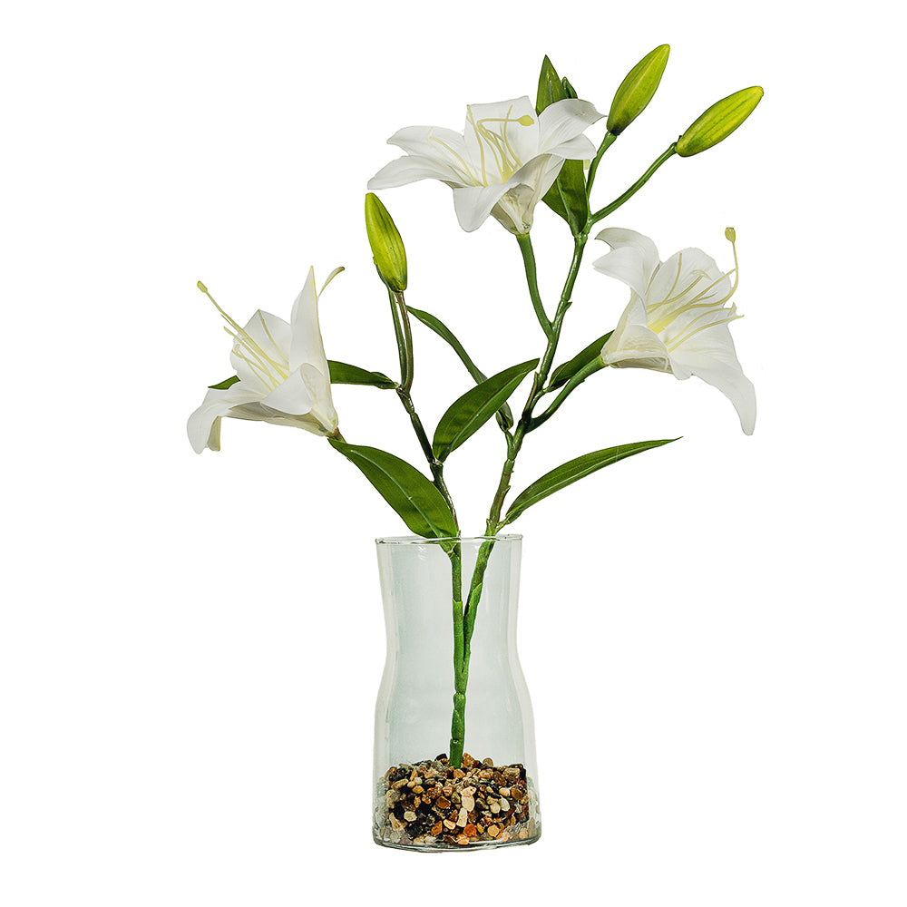 Lilium blanco en macetero de vidrio 57 cm