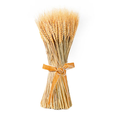 Trigo seco con cinta 48 cm