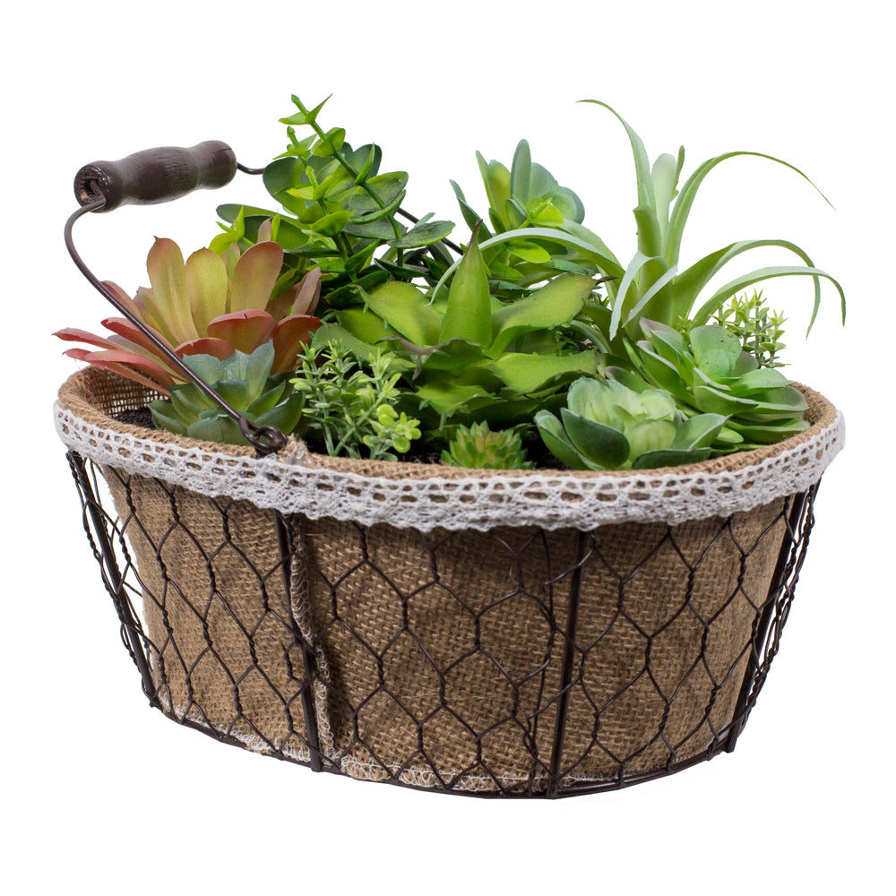 Suculentas en canasto L