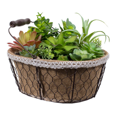 Suculentas en canasto L