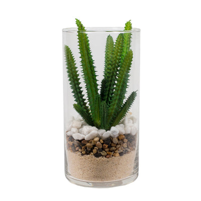 Suculenta con textura y piedras en vidrio 20 cm