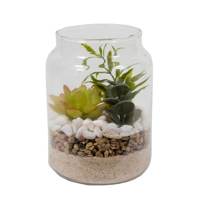 Suculentas en vasija de vidrio 14 cm