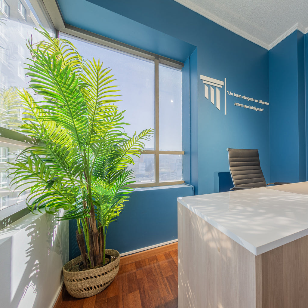 Palmera hawai premium 170 cm