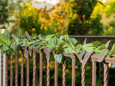 Planta Colgante Otoñal 190 CM