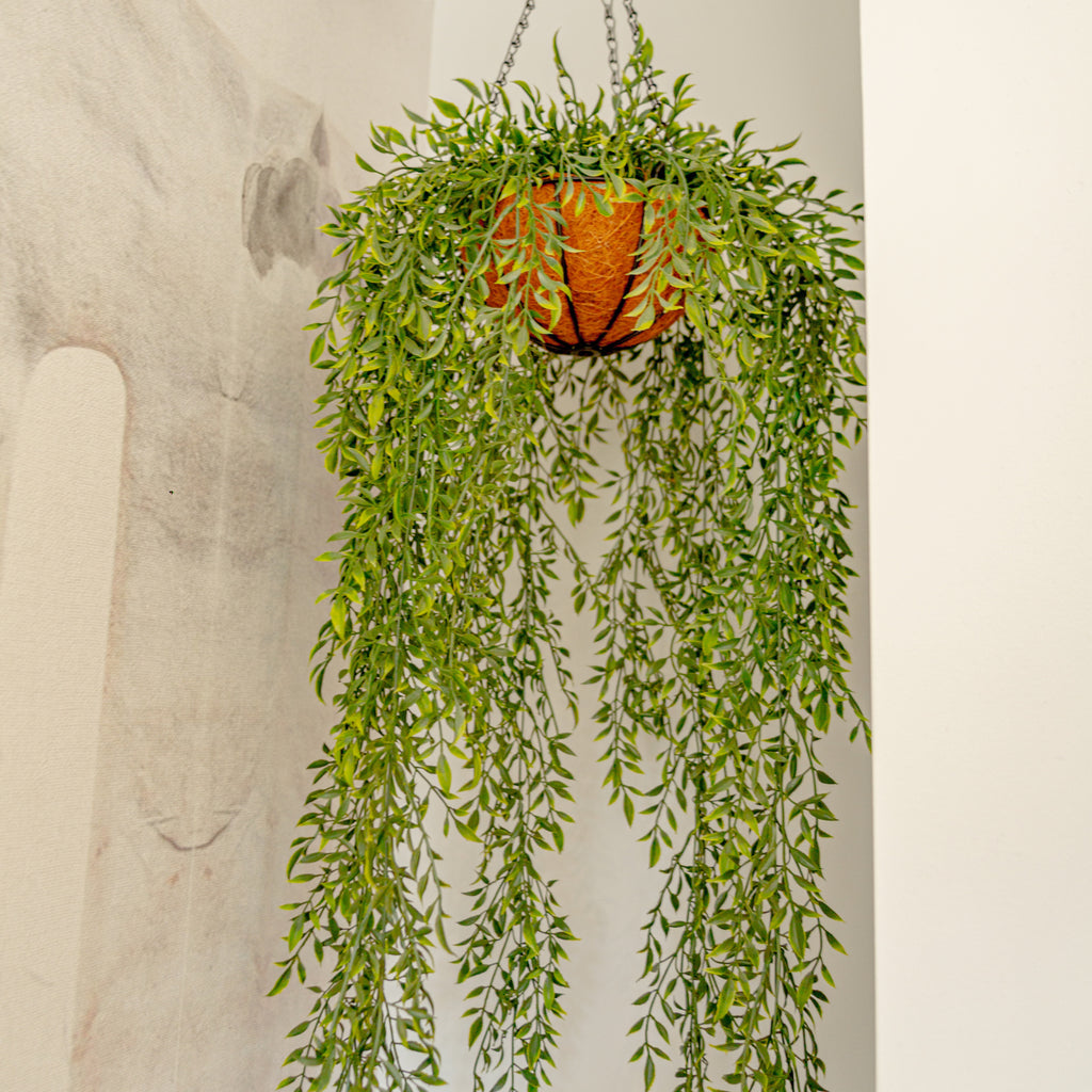 Enredadera colgante UV 100 cm