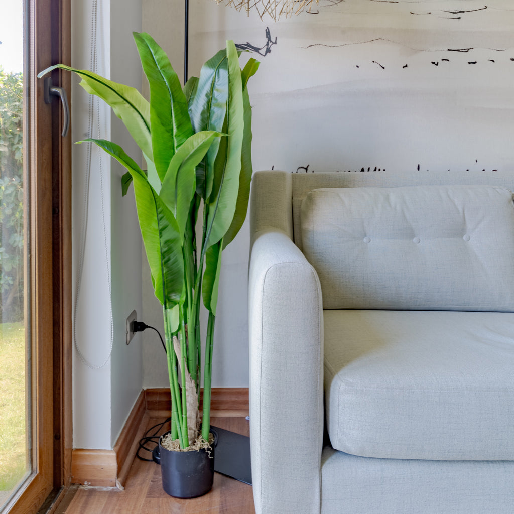 Small Traveller 130 cm