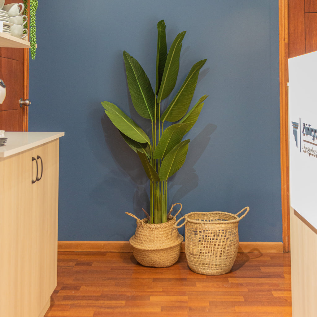 Paradise Bird 160 cm