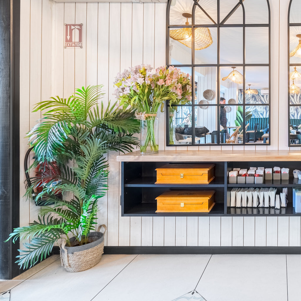 Palmera Areca Premium 150 cm