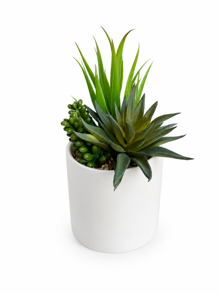 Suculenta 20 cm
