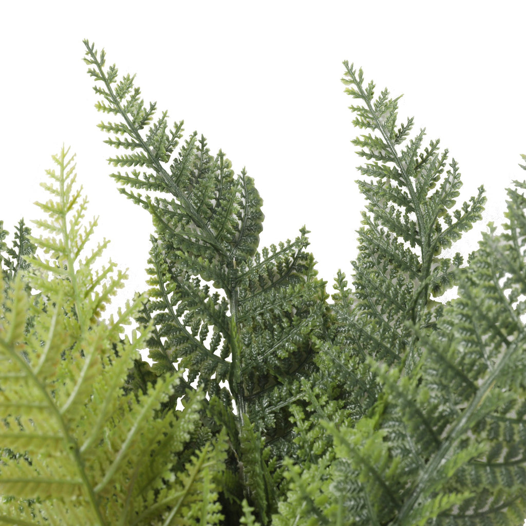 Helecho Persa 60 cm Filtro UV