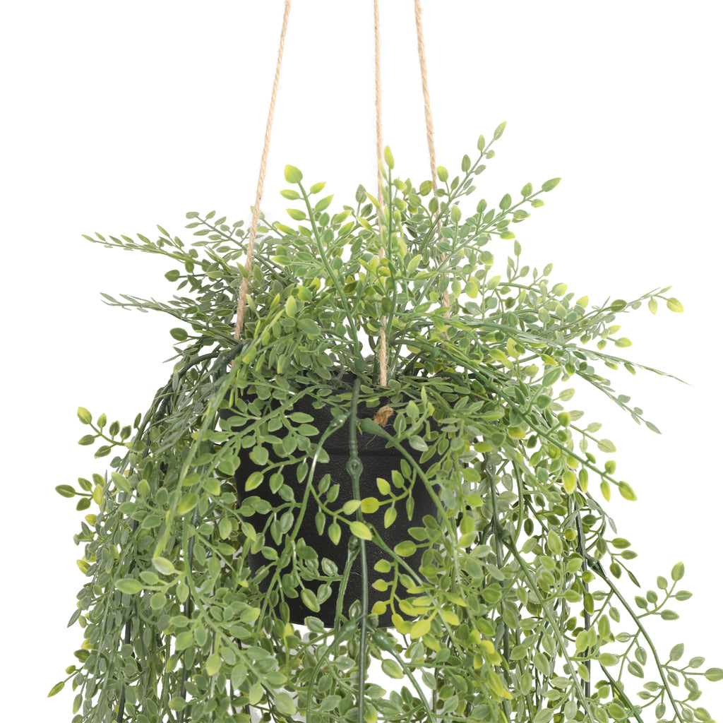 Enredadera aerea UV 90 cm