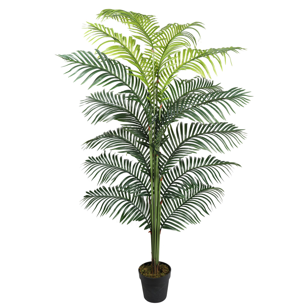 Palmera Hawai 200 cm