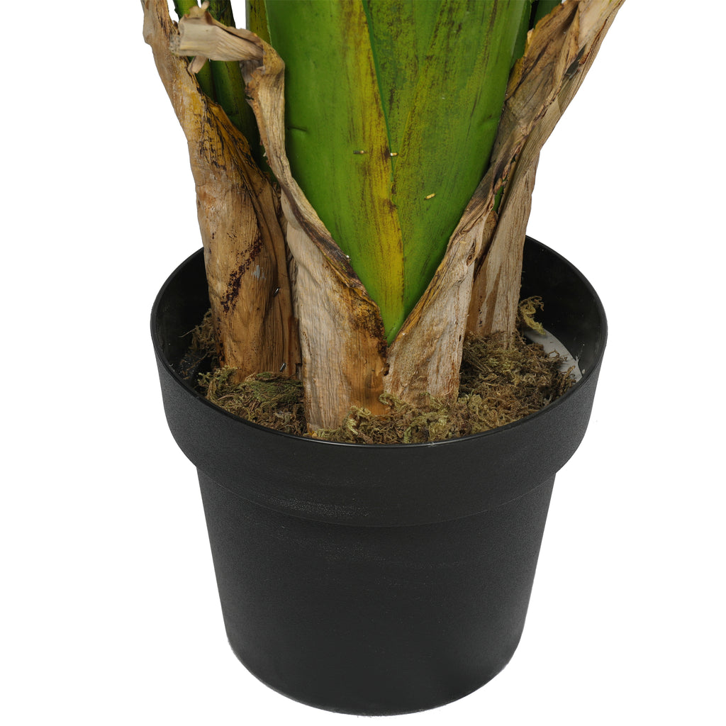 Paradise Bird 220 cm