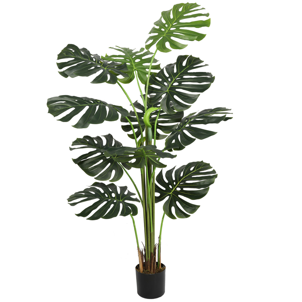 Monstera 165 cm