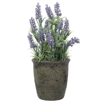 Lavanda macetero piedra 31 Cm