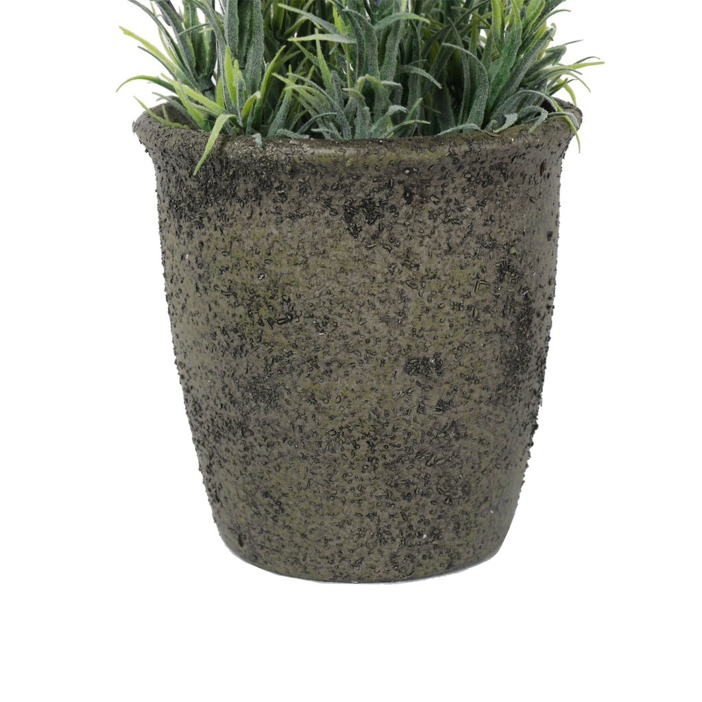 Lavanda macetero piedra 31 Cm