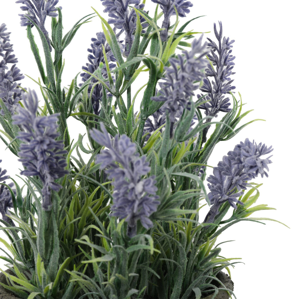 Lavanda macetero piedra 31 Cm