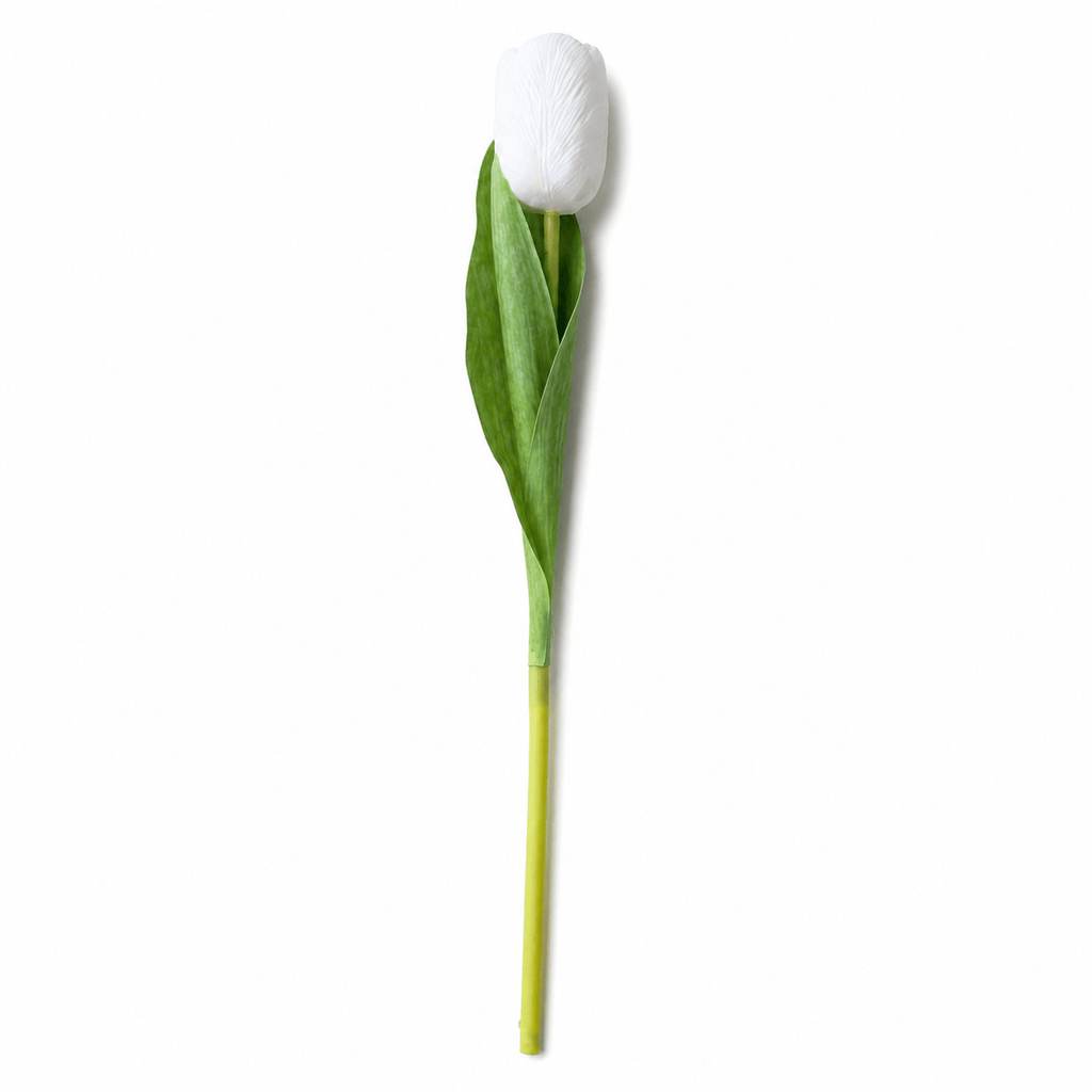 Tulipán de seda blanco 35 cm