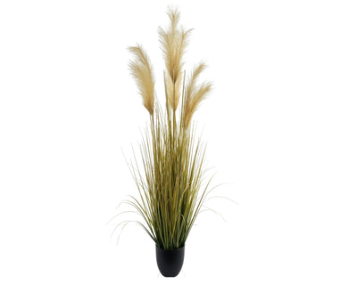 Grass amarillo Cola de zorro 120 cm