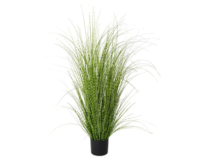 Grass Verde zebra 120 CM