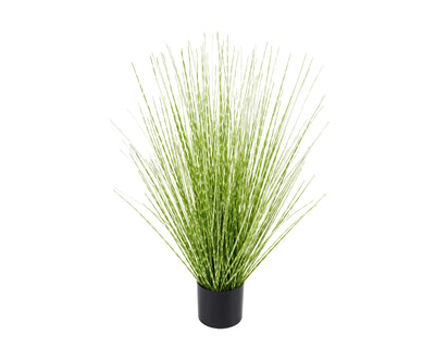 Grass Verde zebra 61 CM
