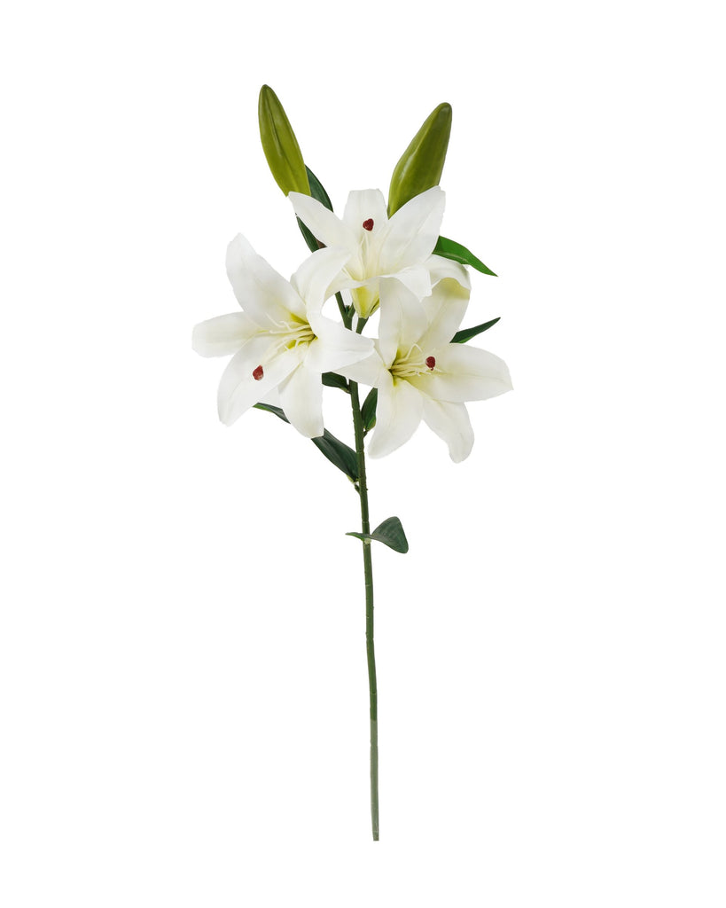 Lilium Blanco 67 CM