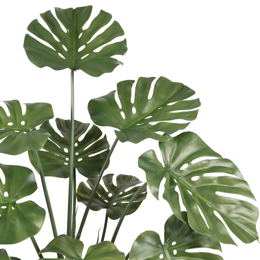 Monstera 150 cms UV
