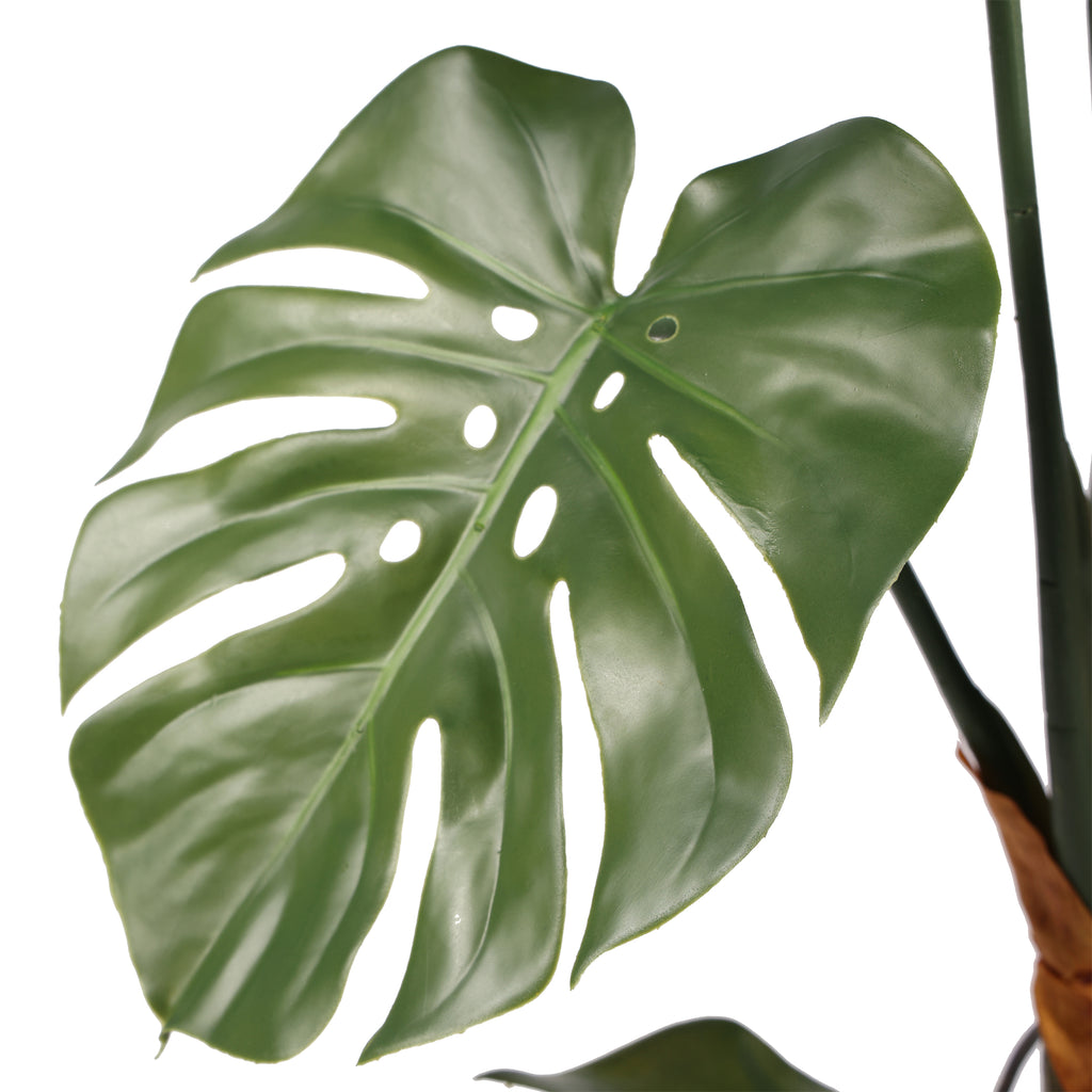 Monstera 150 cms UV