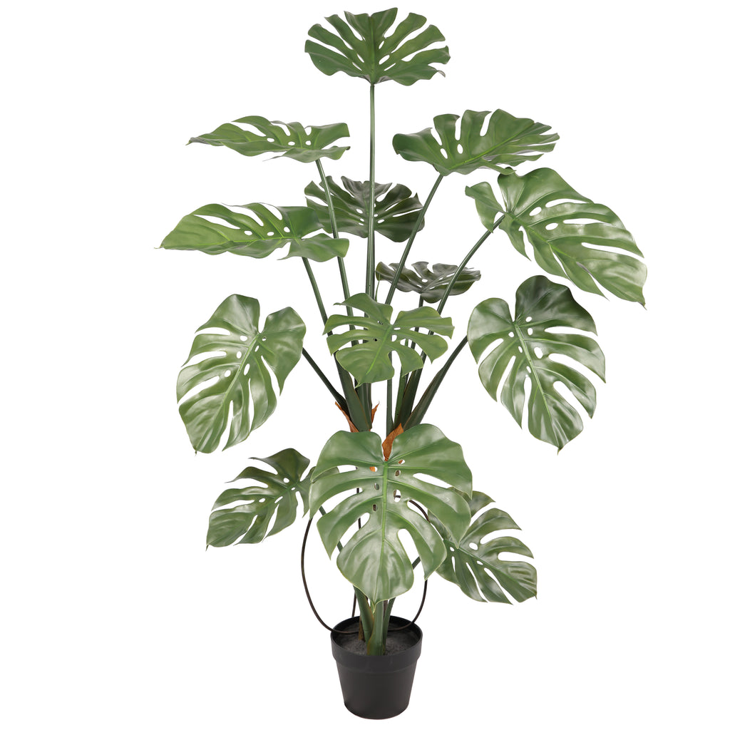 Monstera 150 cms UV
