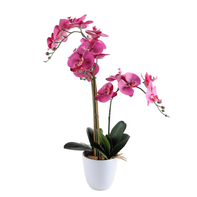 Orquide morada con macetero 75 cm