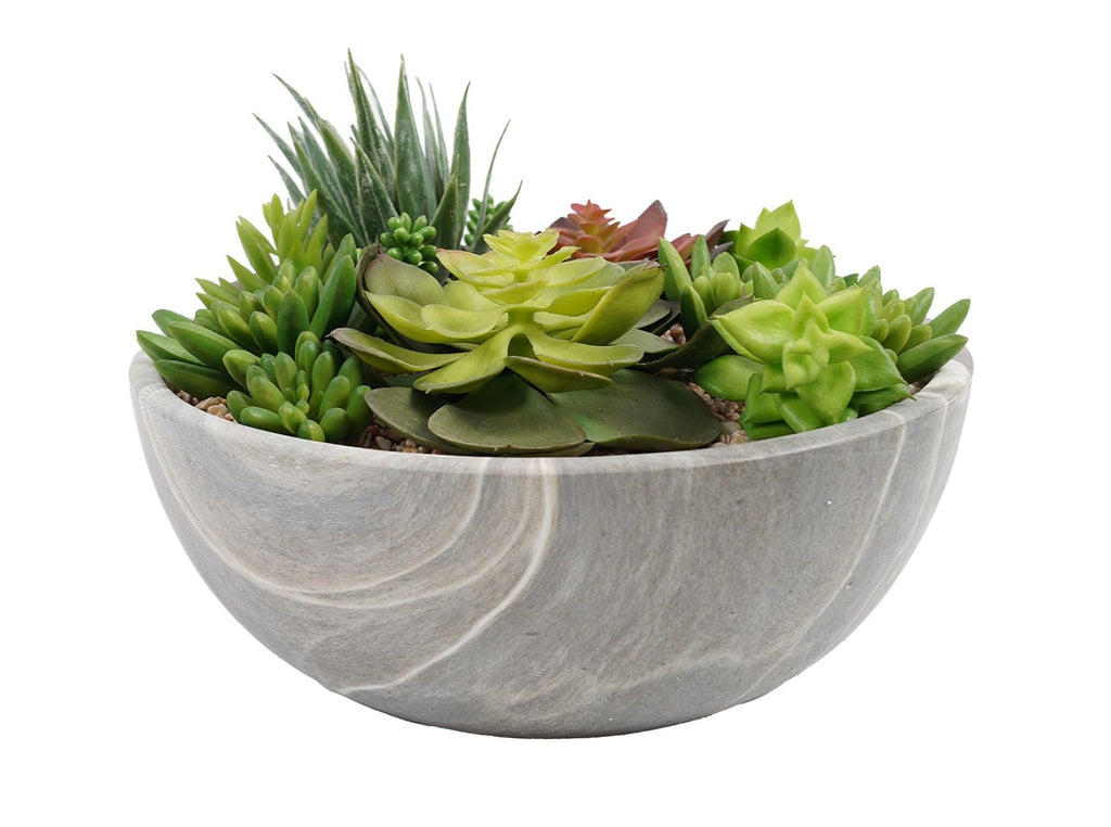 Suculenta Con Macetero Redondo 24 CM