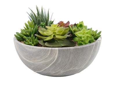 Suculenta Con Macetero Redondo 24 CM