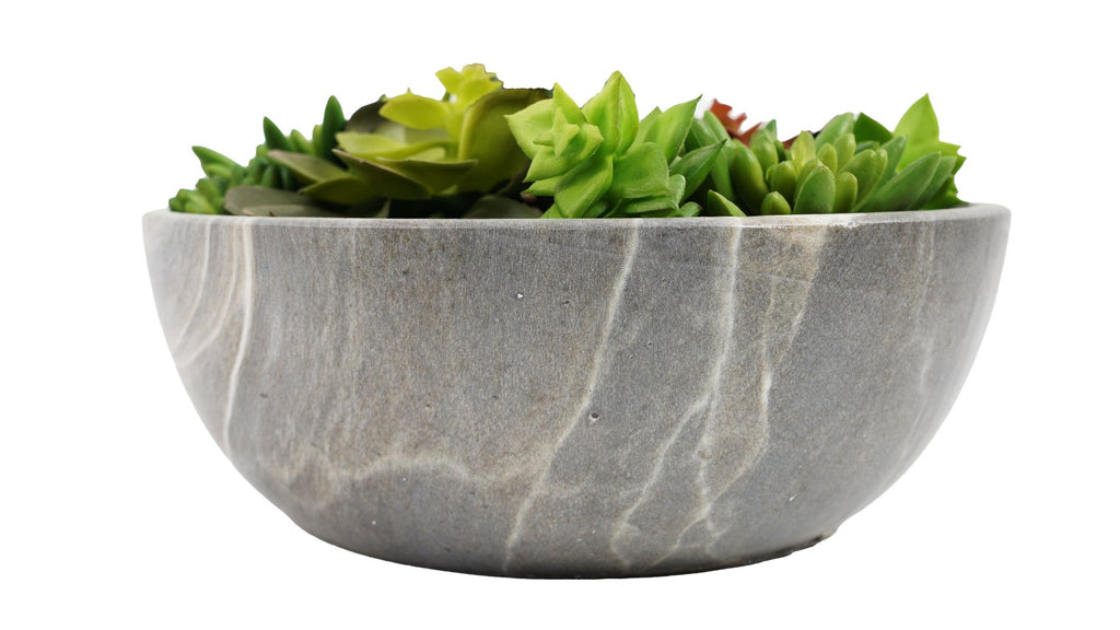 Suculenta Con Macetero Redondo 24 CM