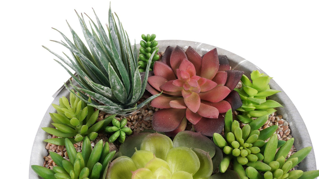 Suculenta Con Macetero Redondo 24 CM