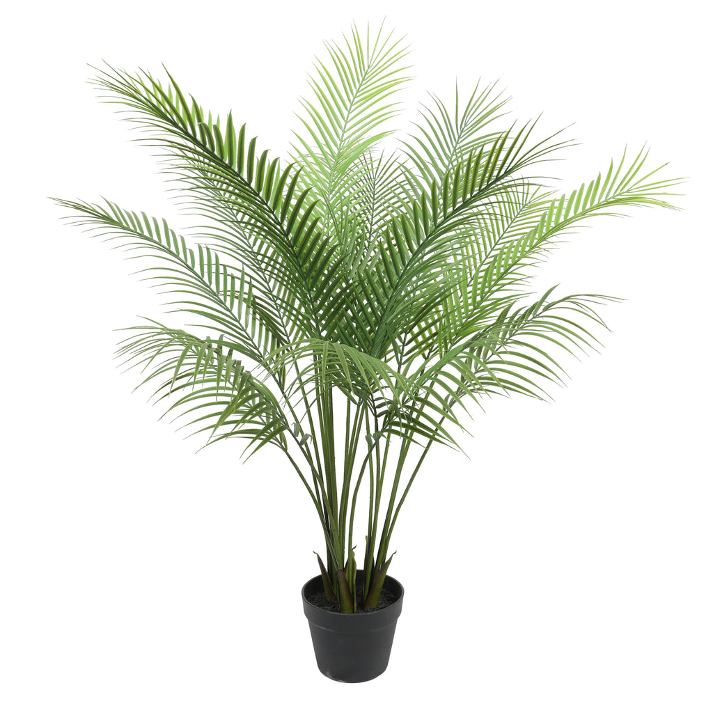 Palmera 120 cm