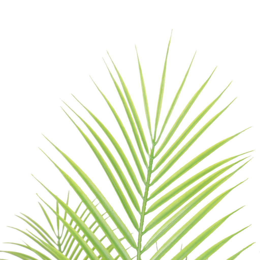 Palmera 120 cm