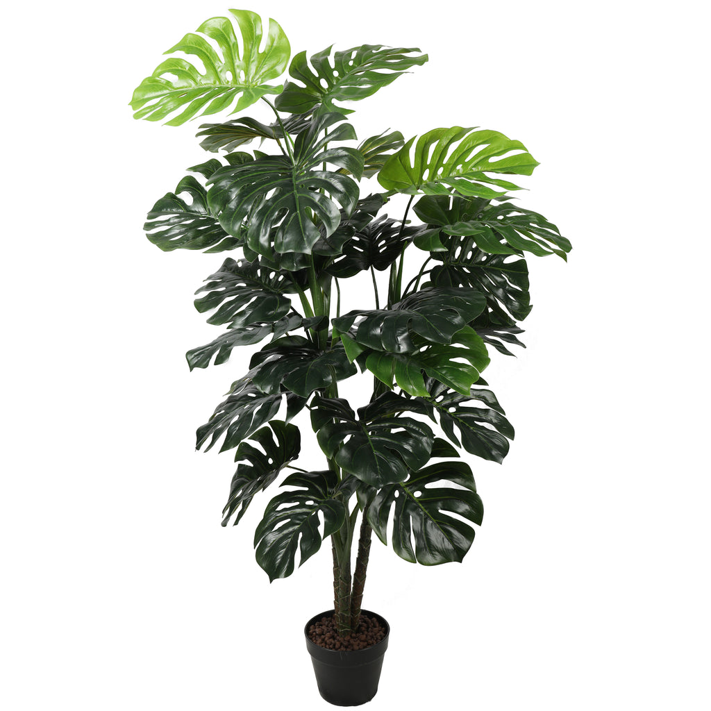 Monstera 140 cm