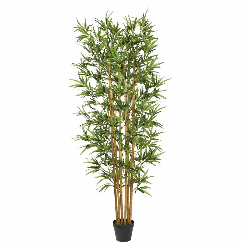 Bambú premium de 180 cm