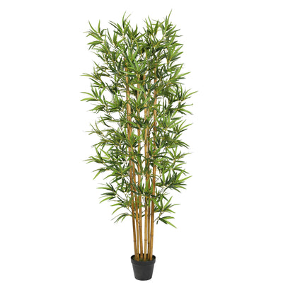 Bambú premium de 180 cm