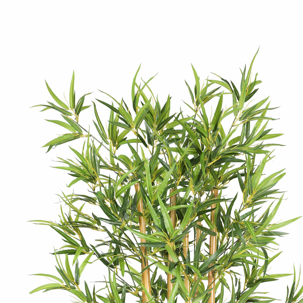 Bambú premium de 180 cm