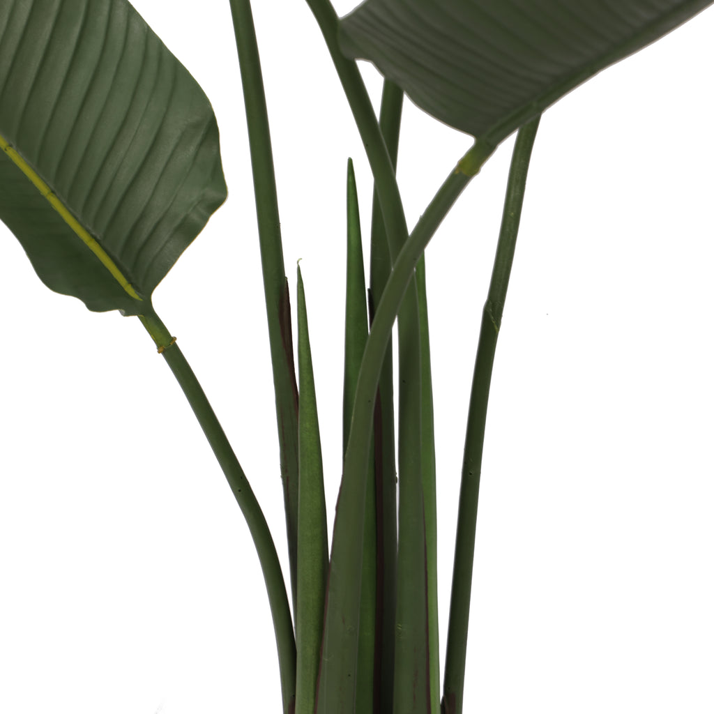 Paradise Bird 140 cm FILTRO UV