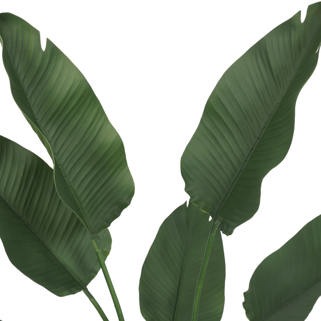 Paradise Bird 150 cm FILTRO UV