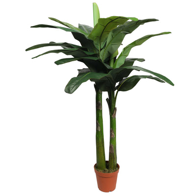 Banano premium tronco verde 180 cm