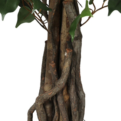 Ficus premium 120 cm