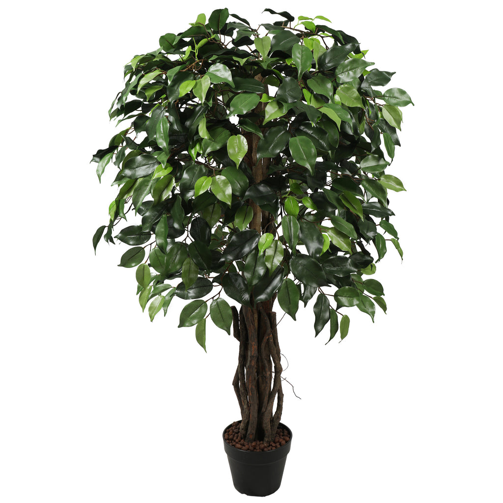 Ficus premium 120 cm