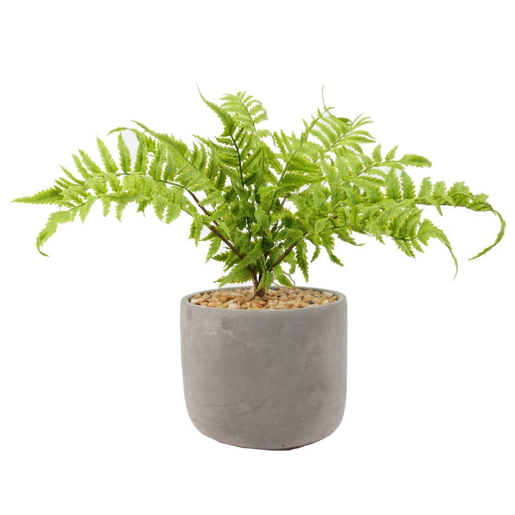 Helecho macetero cemento 36 cm
