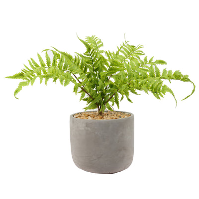 Helecho macetero cemento 36 cm