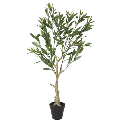 Olivo 90 cm FILTRO UV