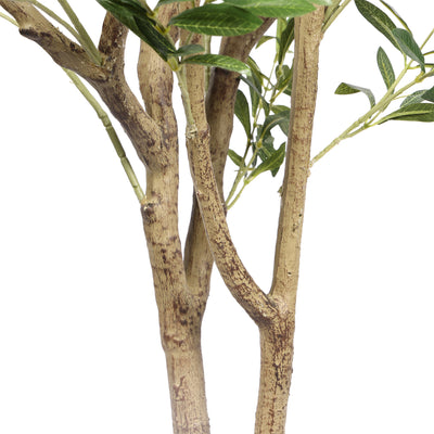 Olivo premium 210 cm FILTRO UV